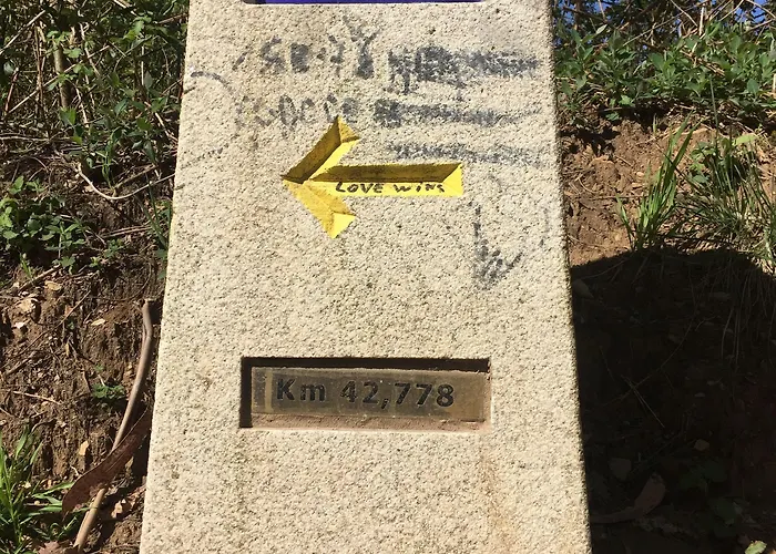 Casa Garea Pensjonat *
